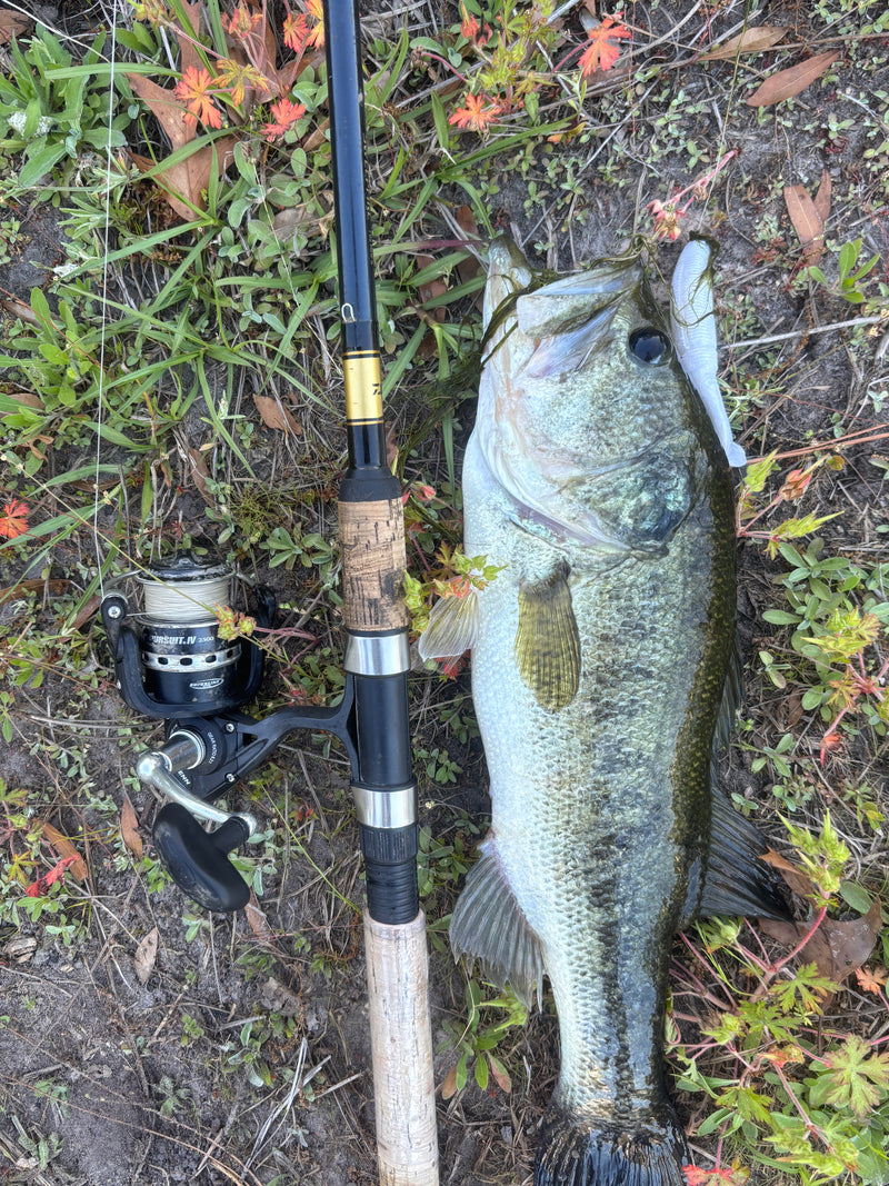 Fish catch photo