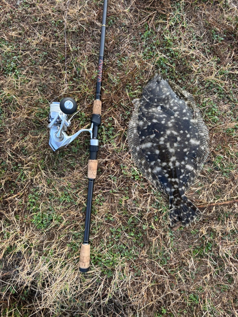 Fish catch photo