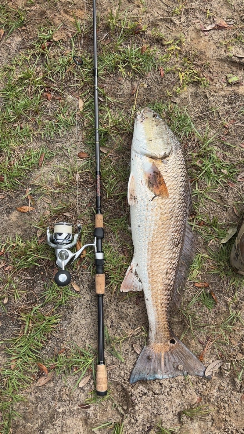 Fish catch photo