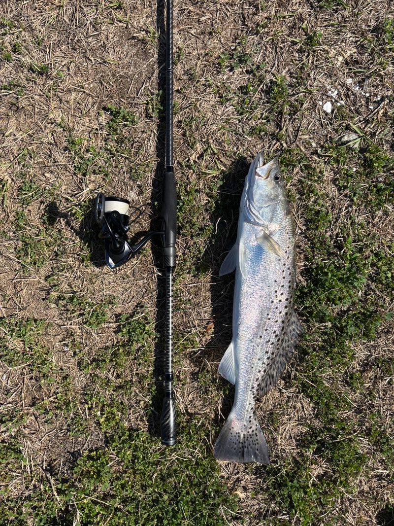 Fish catch photo